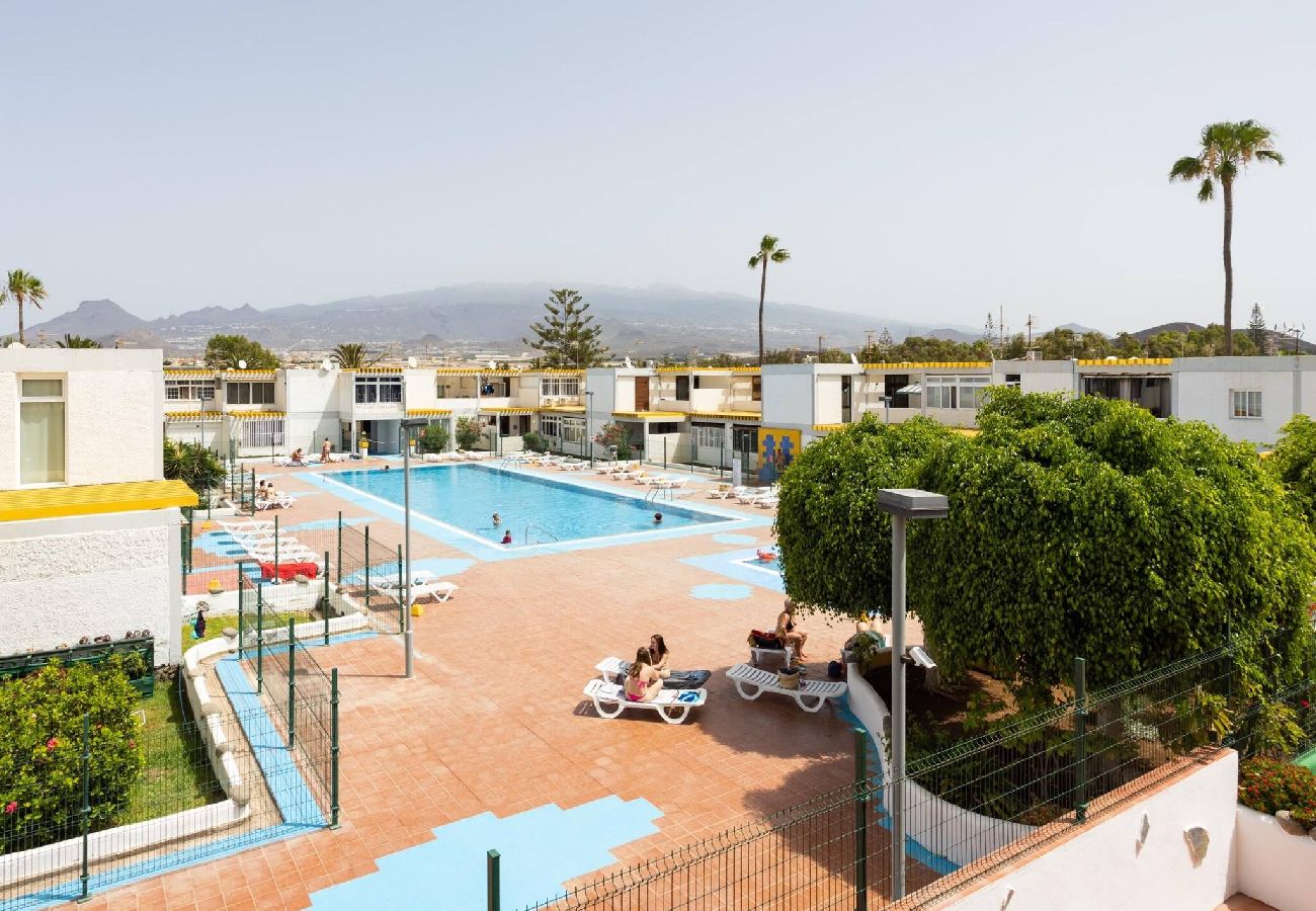 Estudio en Costa del Silencio - Trip  Drago Ten Bel C. Hercules 