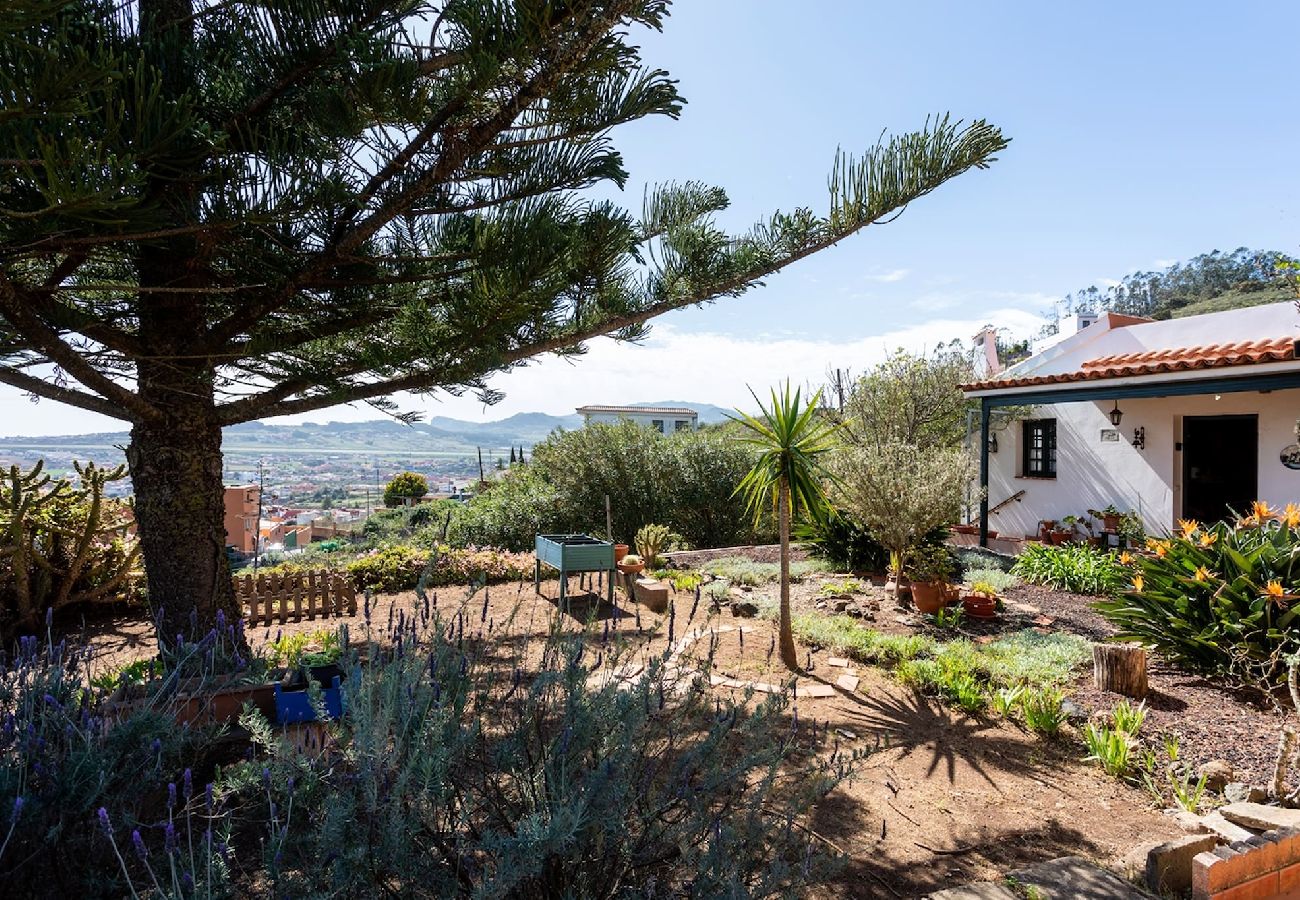 Casa en San Cristobal de La Laguna - Live La Laguna Casita Vieja 