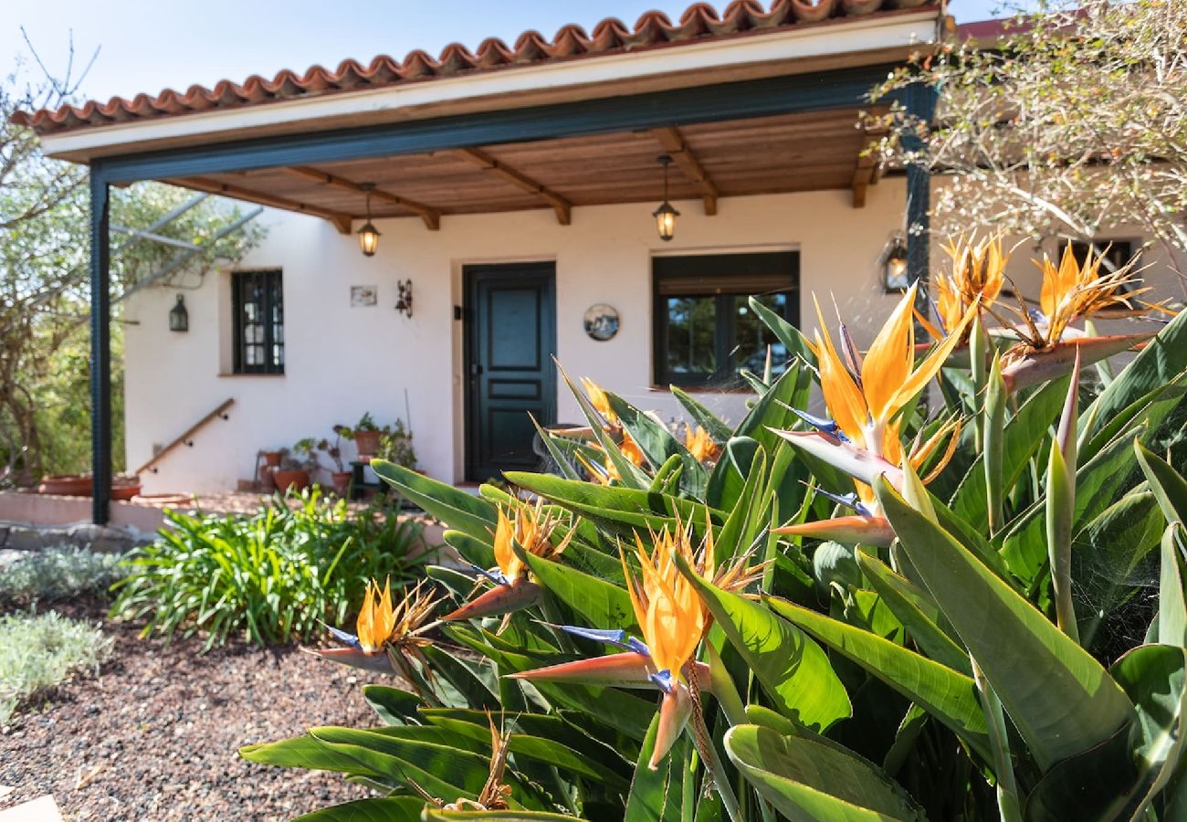 Casa en San Cristobal de La Laguna - Live La Laguna Casita Vieja 