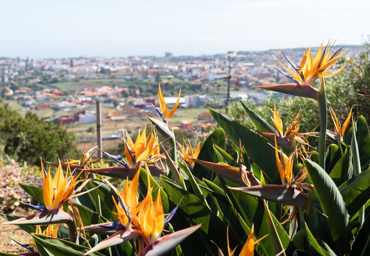 Casa en San Cristobal de La Laguna - Live La Laguna Casita Vieja 