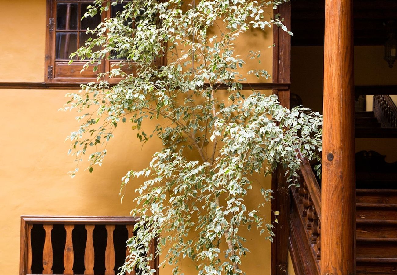 Apartamento en La Orotava - Live Orotava Casa antigua Patrimonio nacional 
