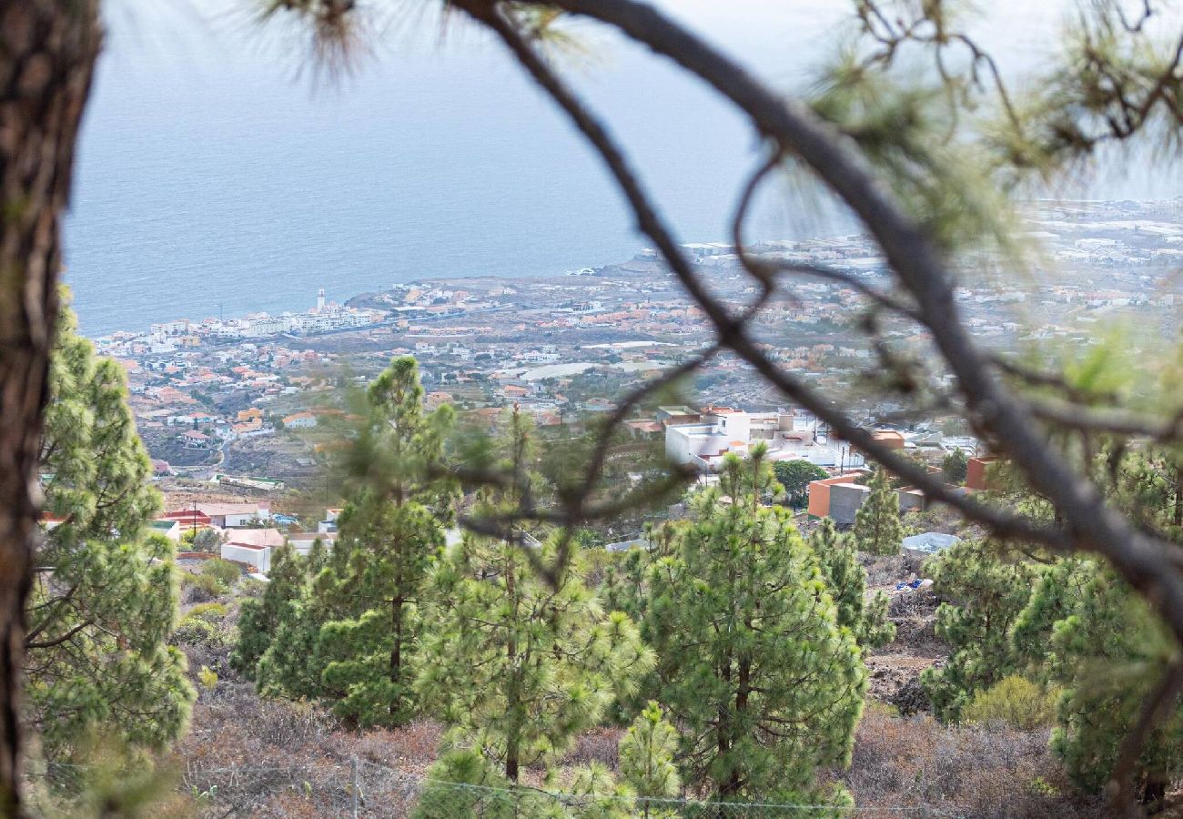 Apartamento en Candelaria - Live Apartamento finca mi bodega 