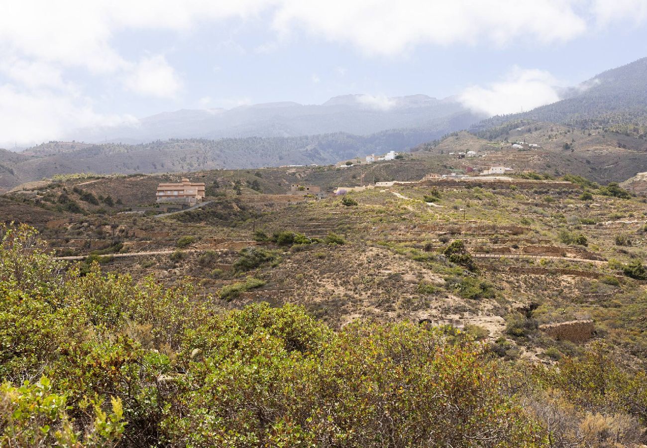 Apartamento en Arico - Live Arico El Cortijo Solarium & Terraza 