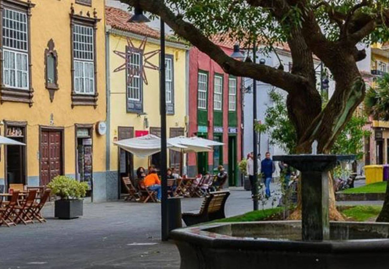 Apartamento en San Cristobal de La Laguna - -
