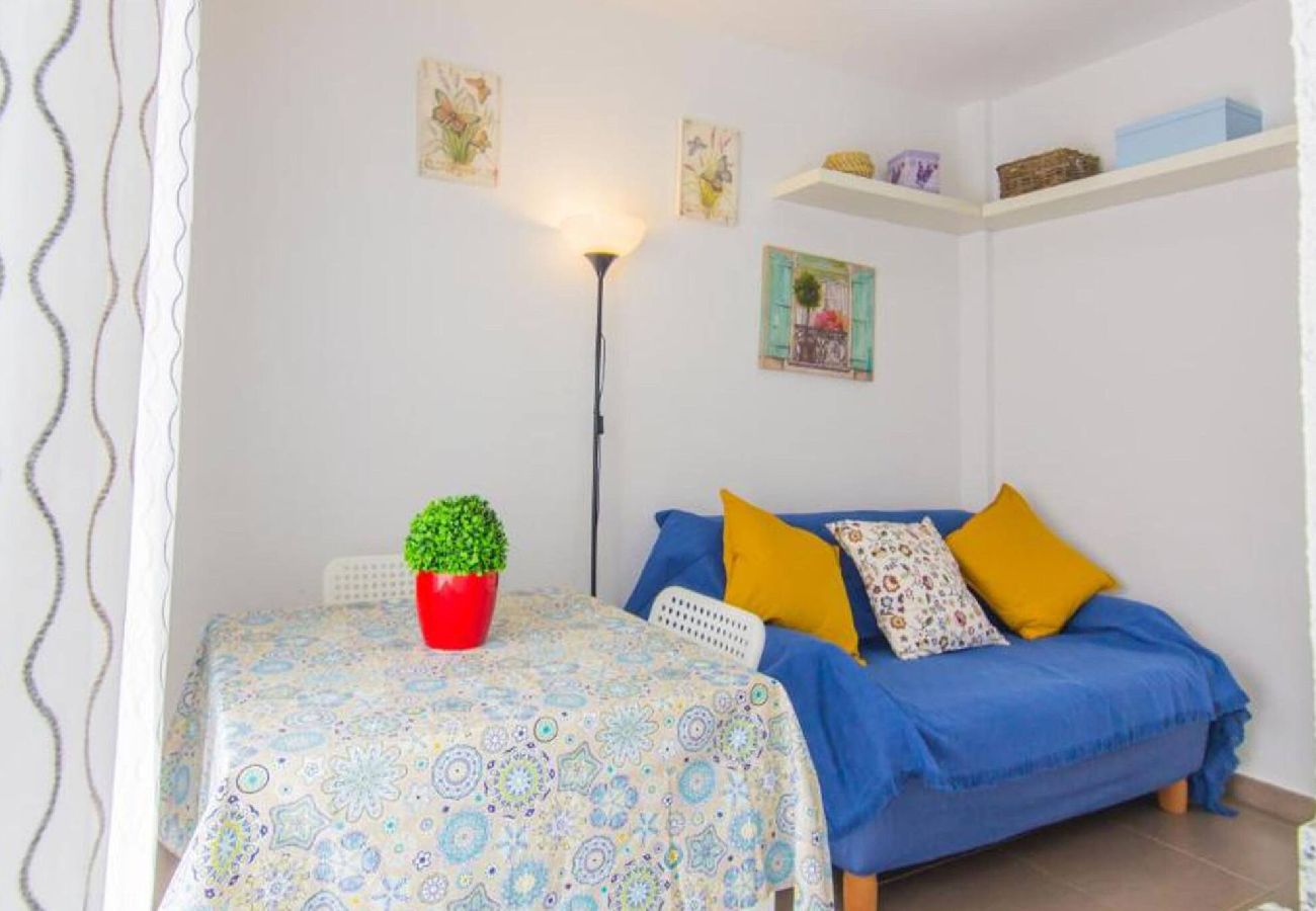 Apartamento en San Cristobal de La Laguna - -