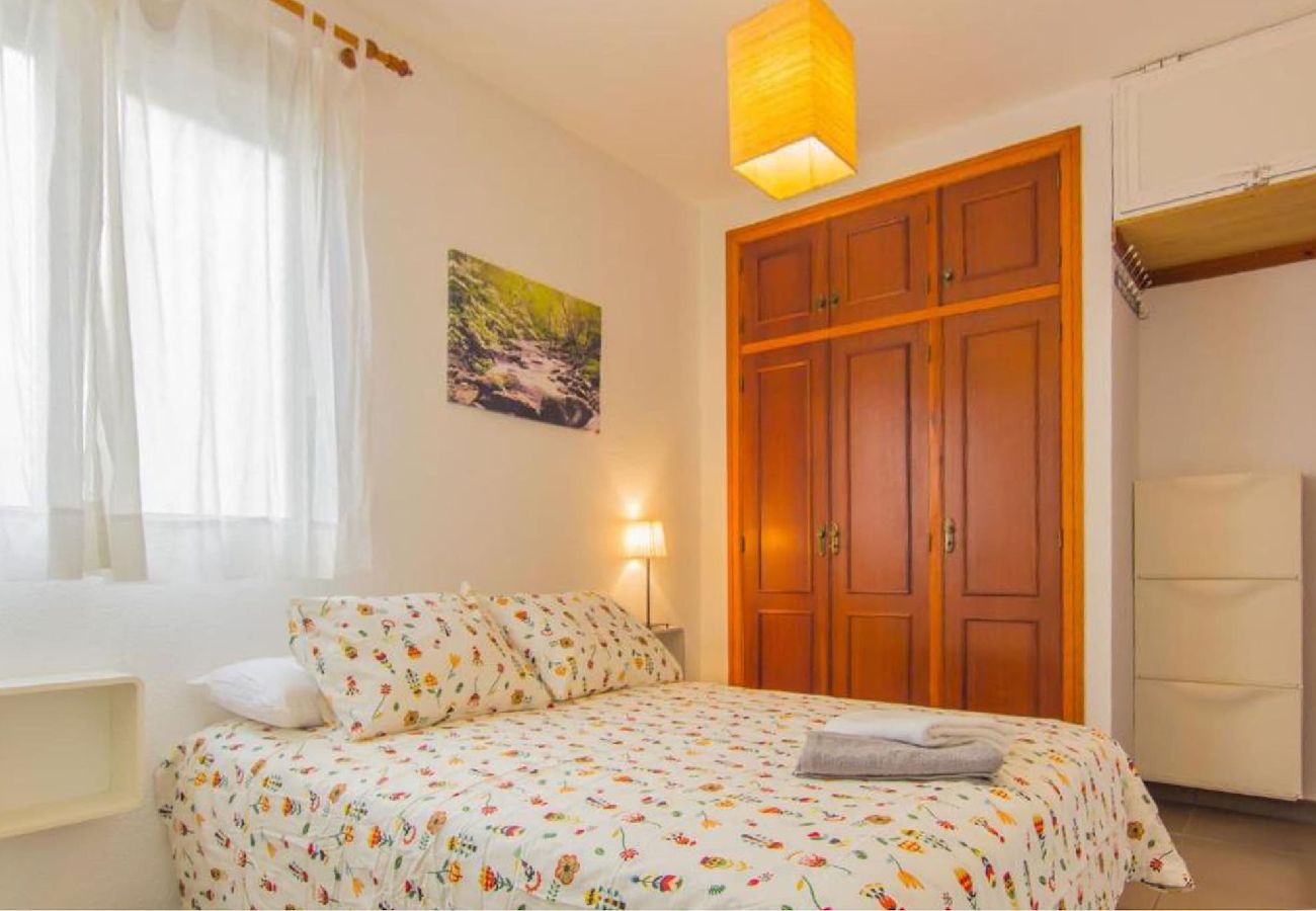 Apartamento en San Cristobal de La Laguna - -