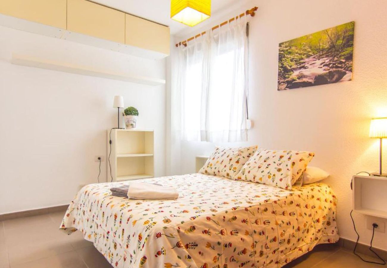 Apartamento en San Cristobal de La Laguna - -