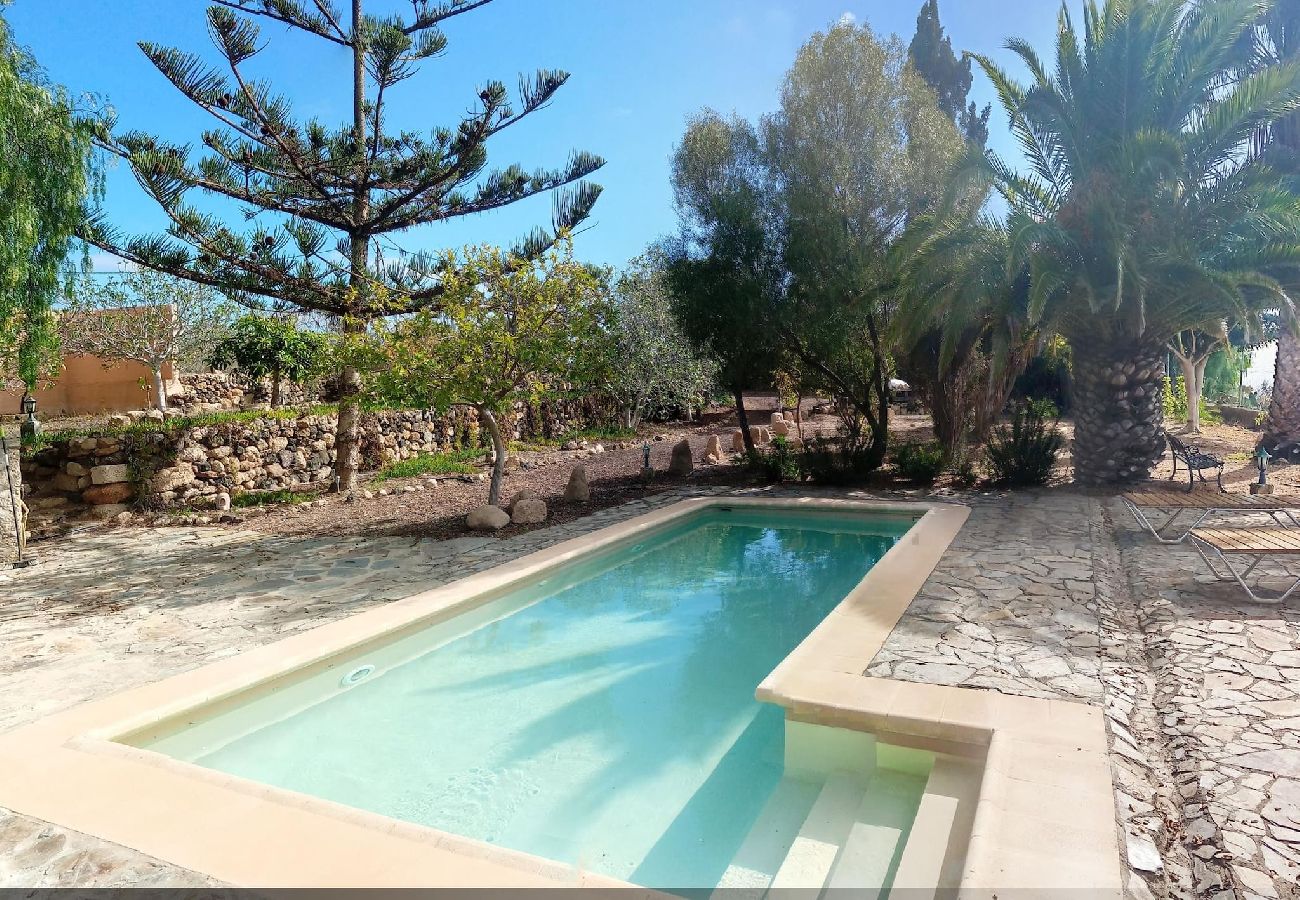 Apartamento en San Miguel de Abona - Live Finca San Miguel 