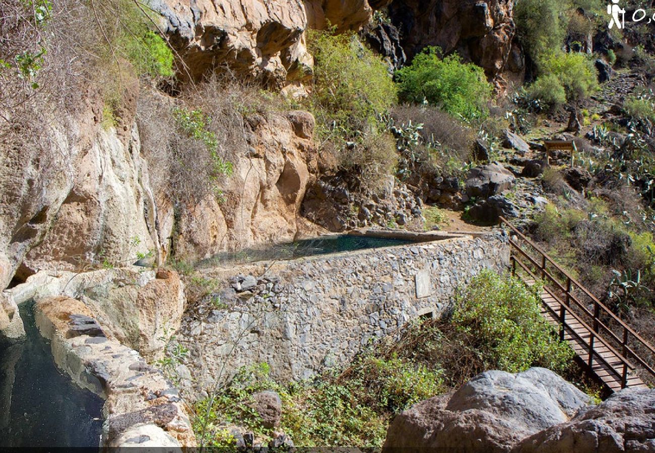 Apartamento en San Miguel de Abona - Live Finca San Miguel 