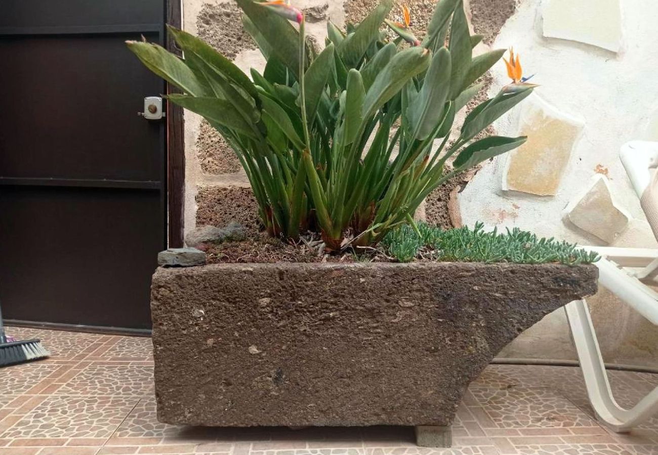 Casa en Arico - Live Arico Lagar 