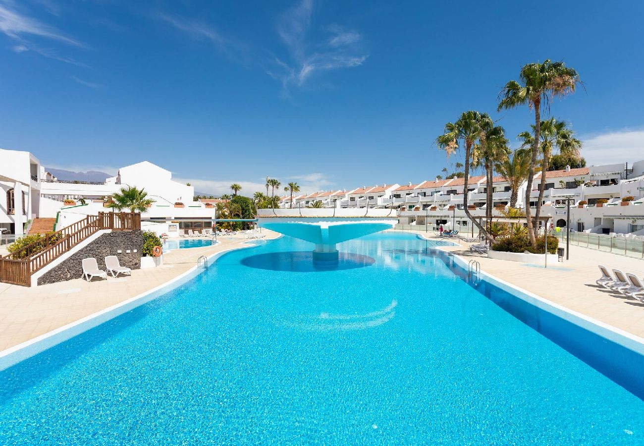 Apartamento en Santa Cruz de Tenerife - Live  Don Jose 204 