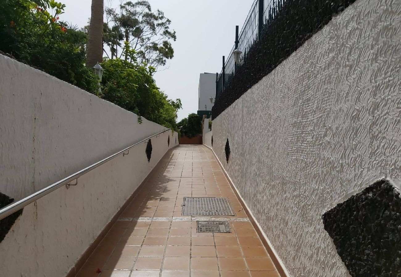 Apartamento en Santa Cruz de Tenerife - Live  Don Jose 204 