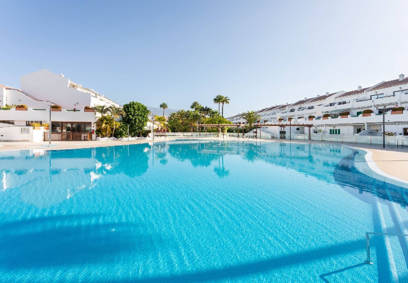 Apartamento en Santa Cruz de Tenerife - Live  Don Jose 204 