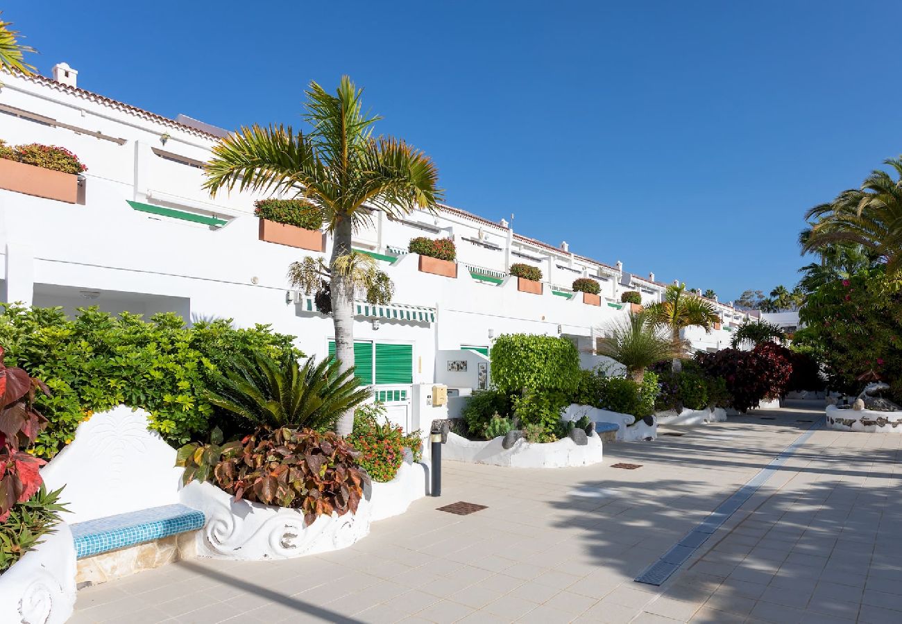 Apartamento en Santa Cruz de Tenerife - Live  Don Jose 204 