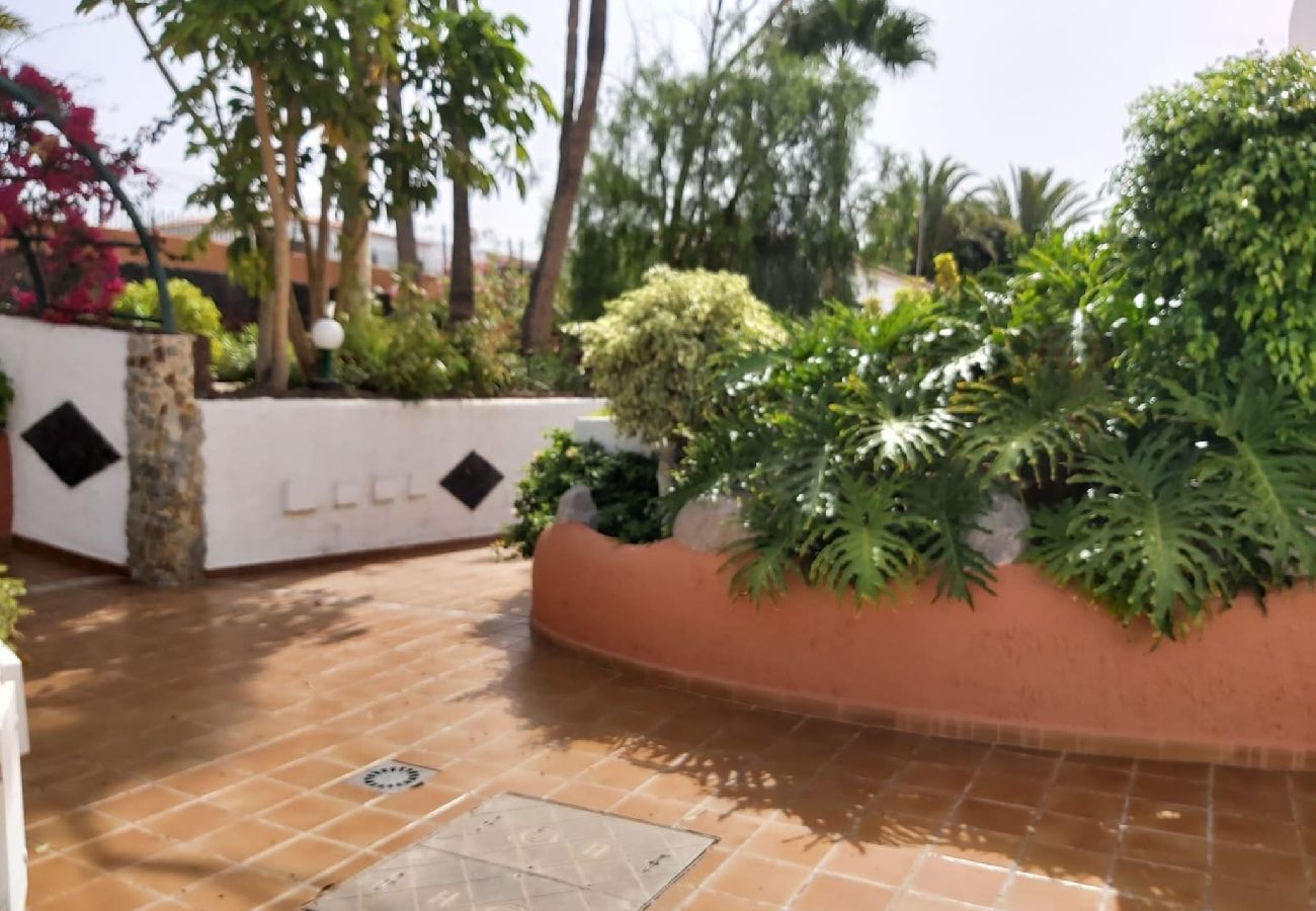 Apartamento en Santa Cruz de Tenerife - Live  Don Jose 204 