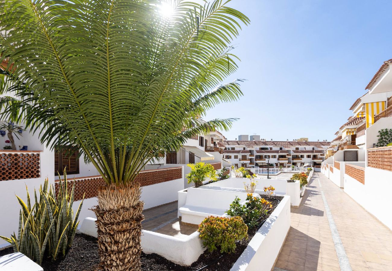 Apartamento en Arona - Live Cardon las Americas con piscina y terraza 
