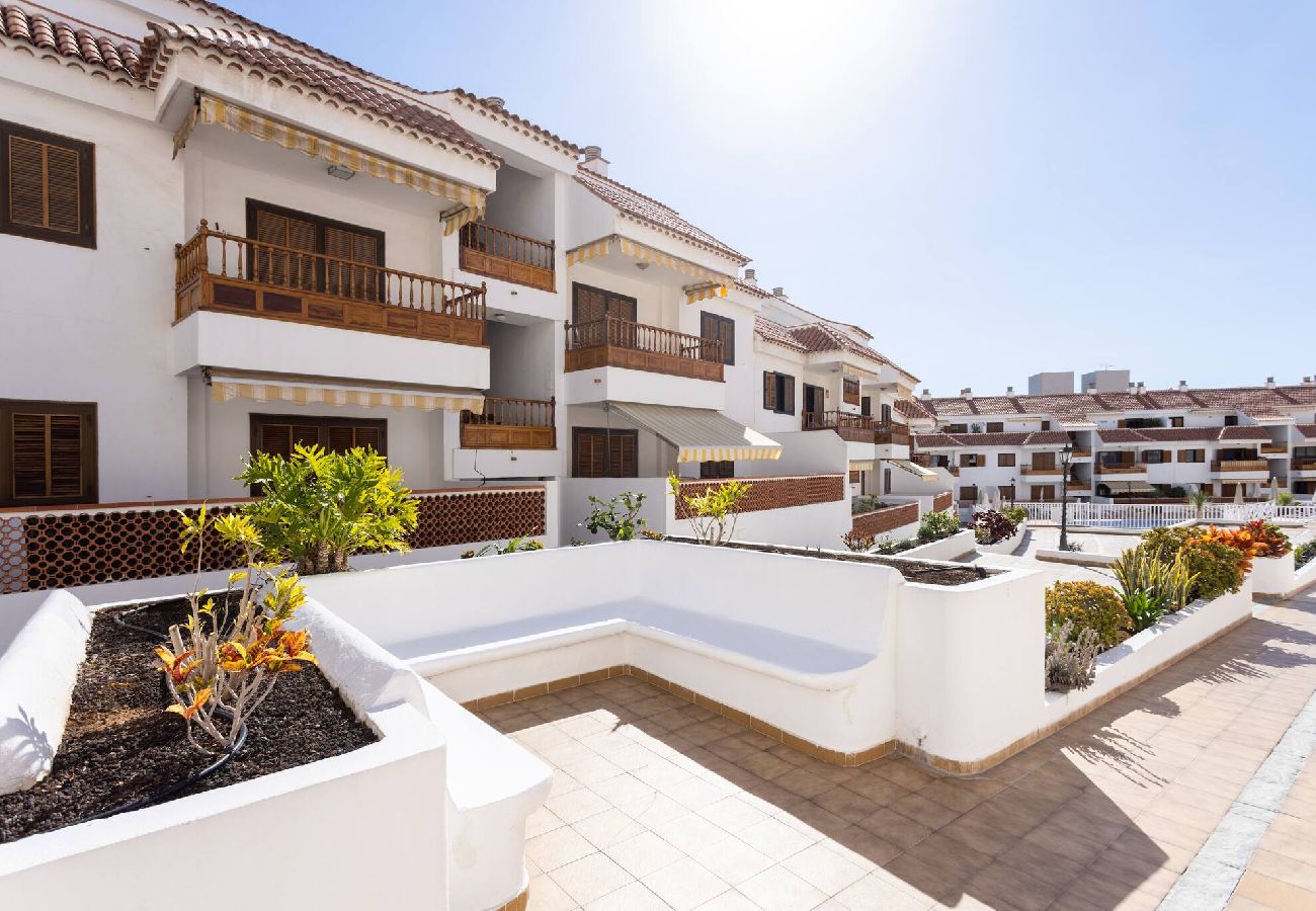 Apartamento en Arona - Live Cardon las Americas con piscina y terraza 