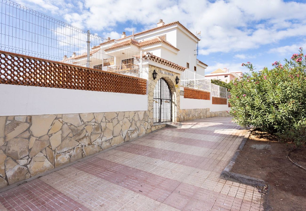 Apartamento en Arona - Live Cardon las Americas con piscina y terraza 