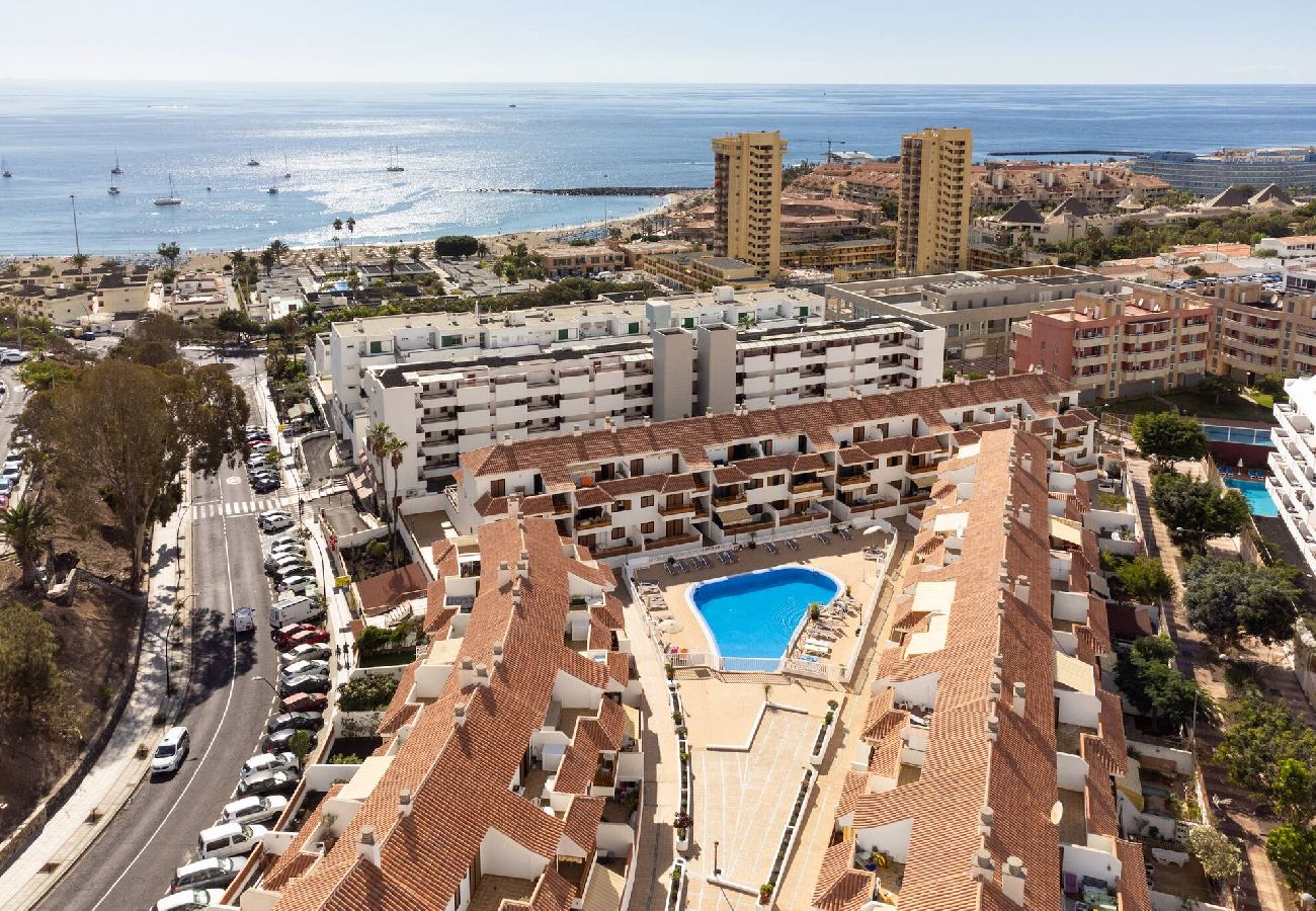Apartamento en Arona - Live Cardon las Americas con piscina y terraza 