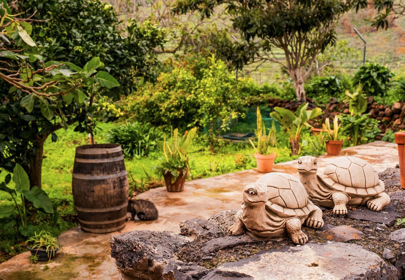 Casa en Buenavista del Norte - Live Buenavista El Palmar casa con jardin 