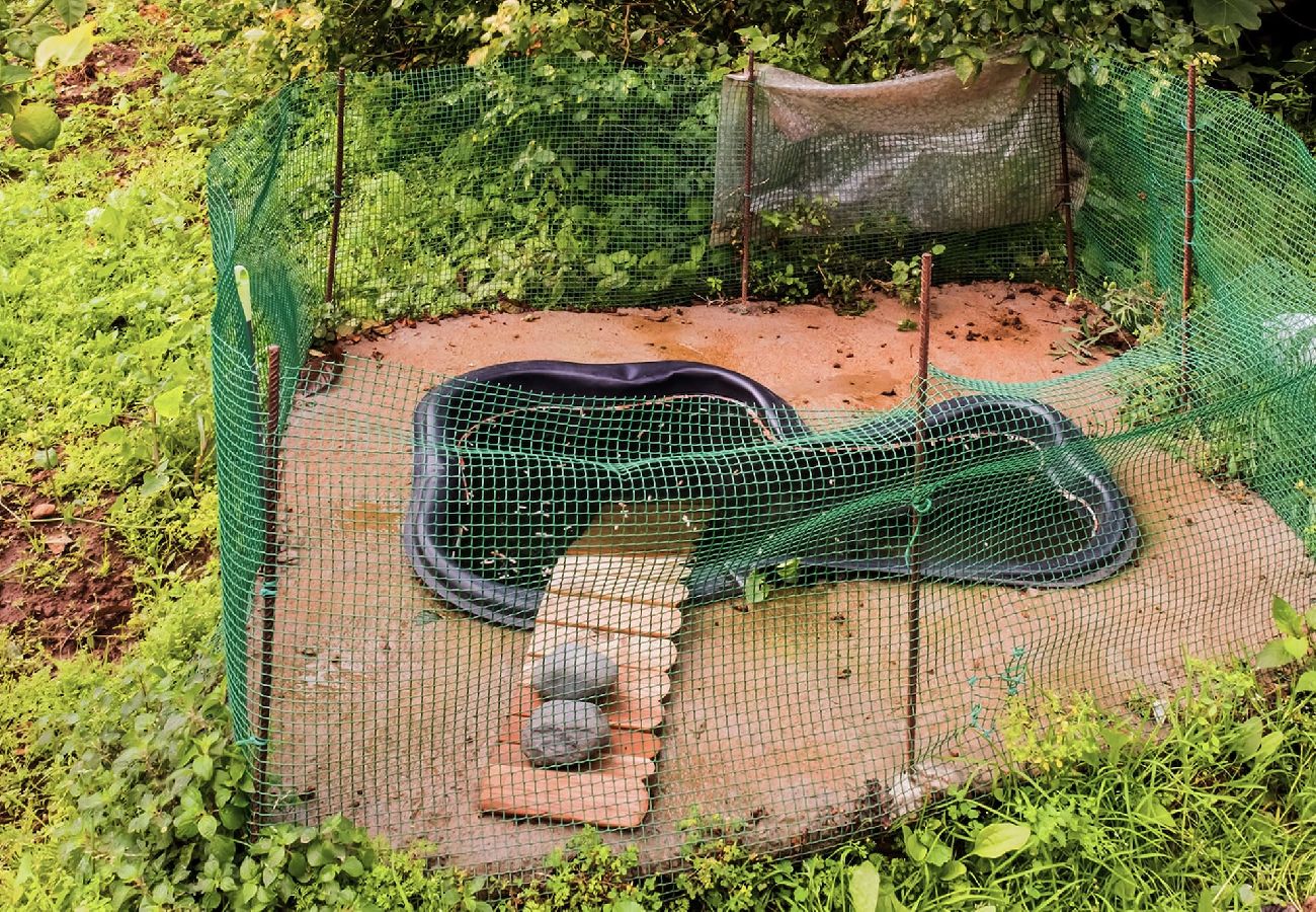 Casa en Buenavista del Norte - Live Buenavista El Palmar casa con jardin 