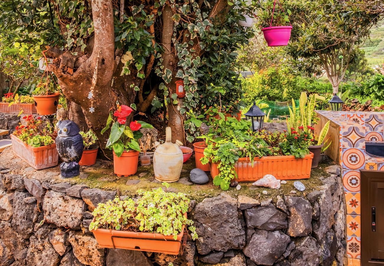 Casa en Buenavista del Norte - Live Buenavista El Palmar casa con jardin 