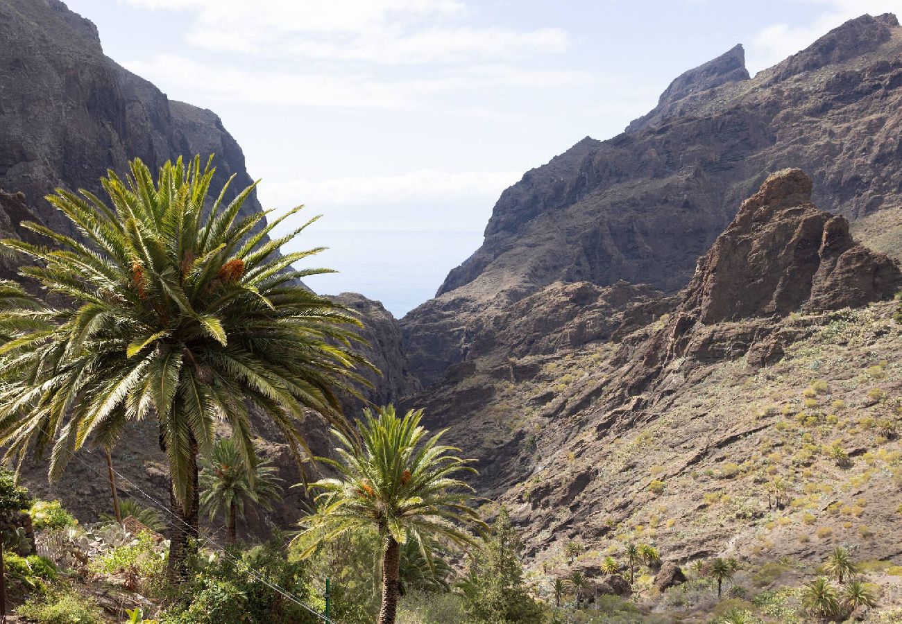 Casa en Buenavista del Norte - LIVE MASCA CASATARUCHO 