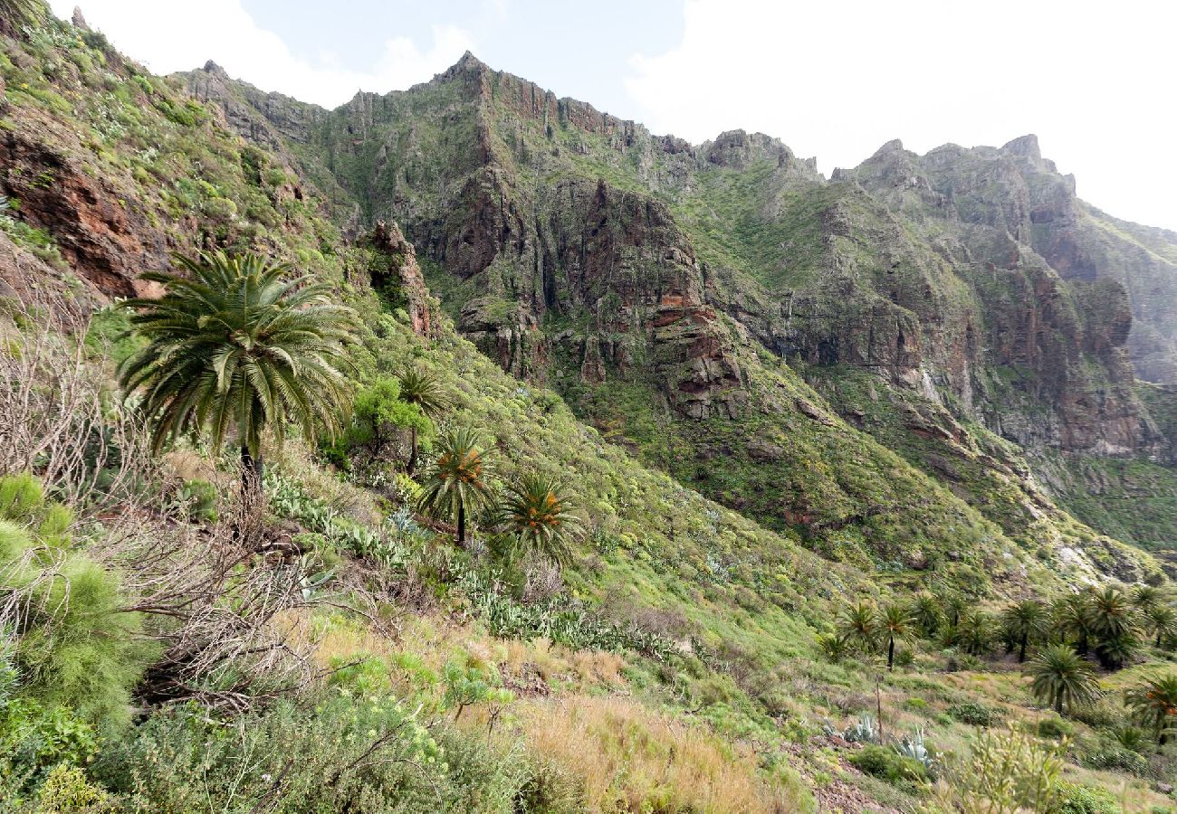 Casa en Buenavista del Norte - LIVE MASCA CASATARUCHO 