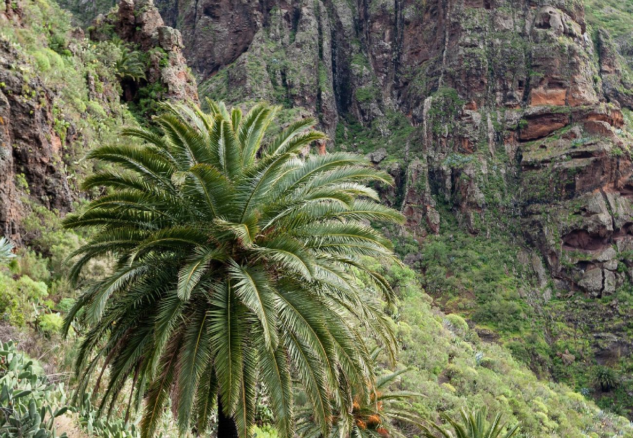 Casa en Buenavista del Norte - LIVE MASCA CASATARUCHO 
