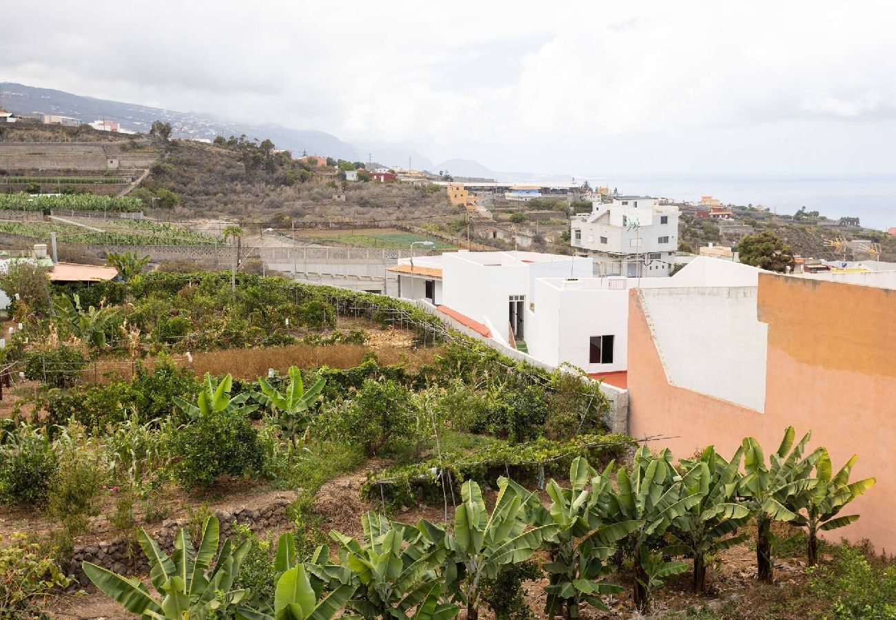 Apartamento en Icod de los Vinos - Live Icod Buen Paso casa con terraza y barbacoa 