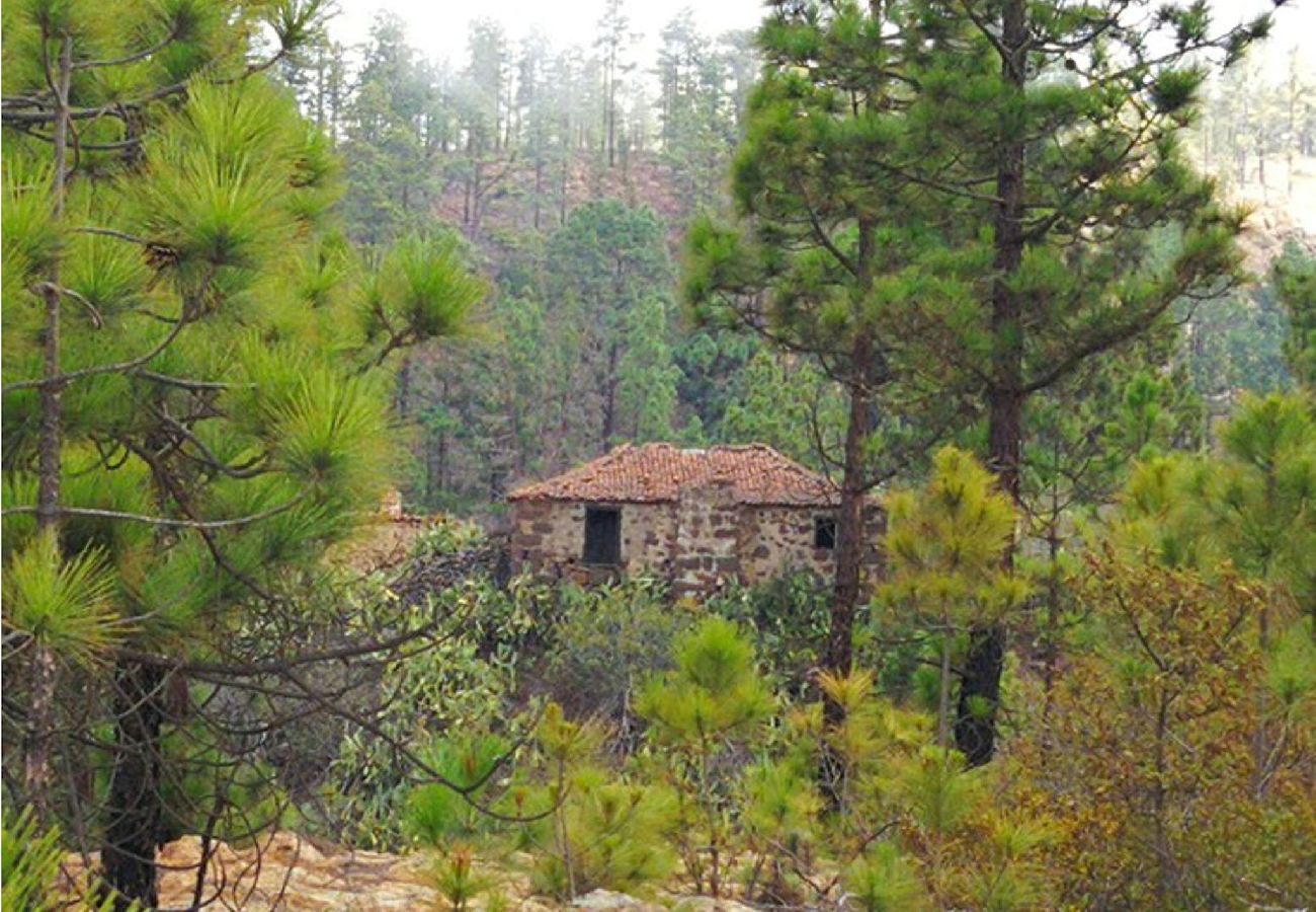 Casa en Santa Cruz de Tenerife - -