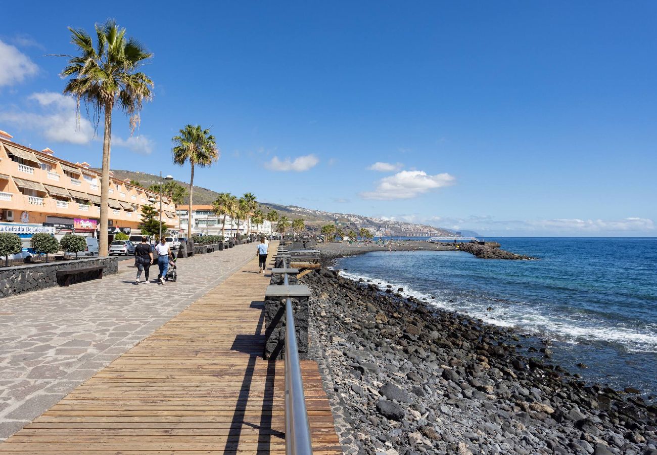 Apartamento en Candelaria - Live Candelaria Tres Carabelas 