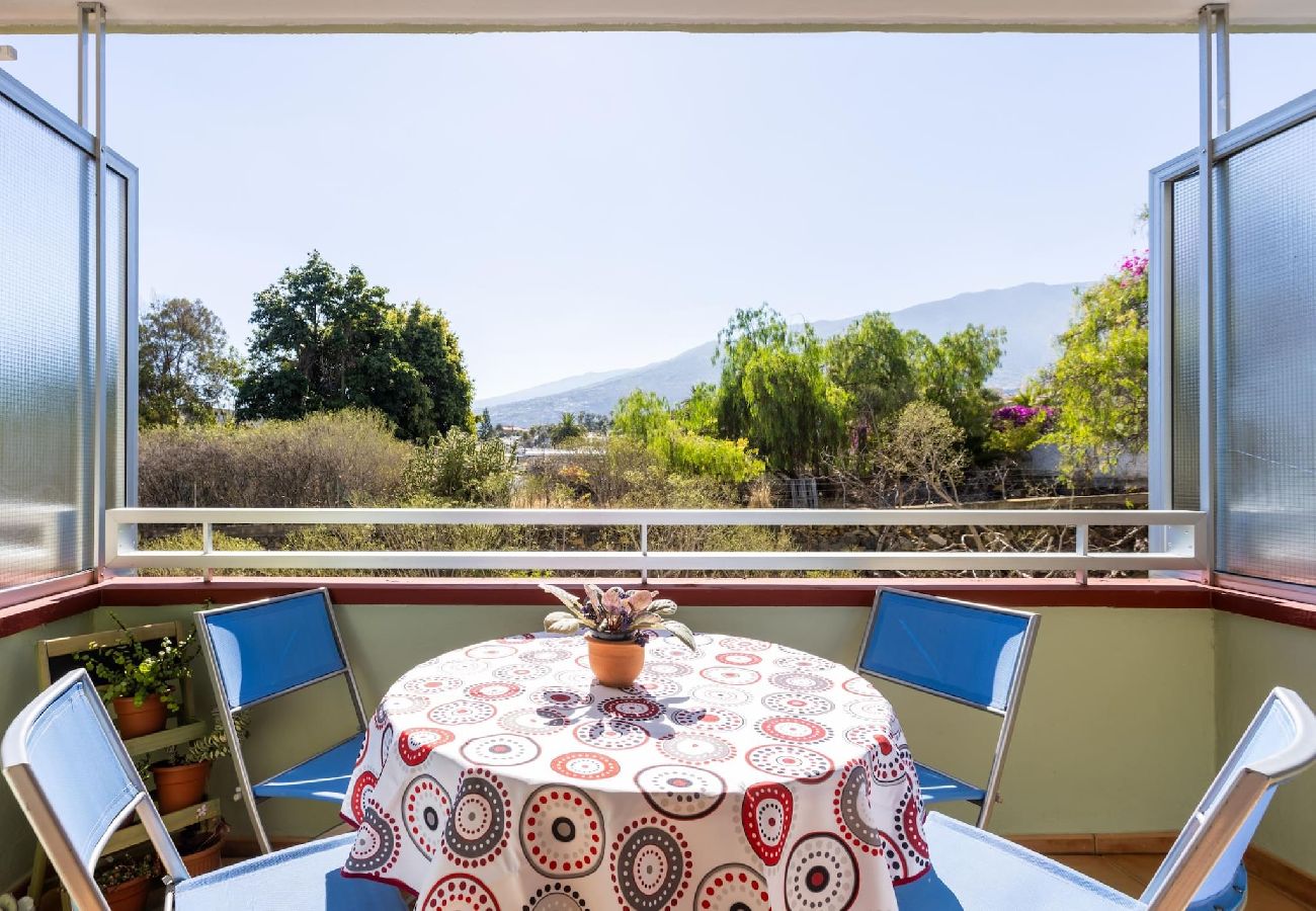 Apartamento en Puerto de la Cruz - Live Puerto las Marañuelas 
