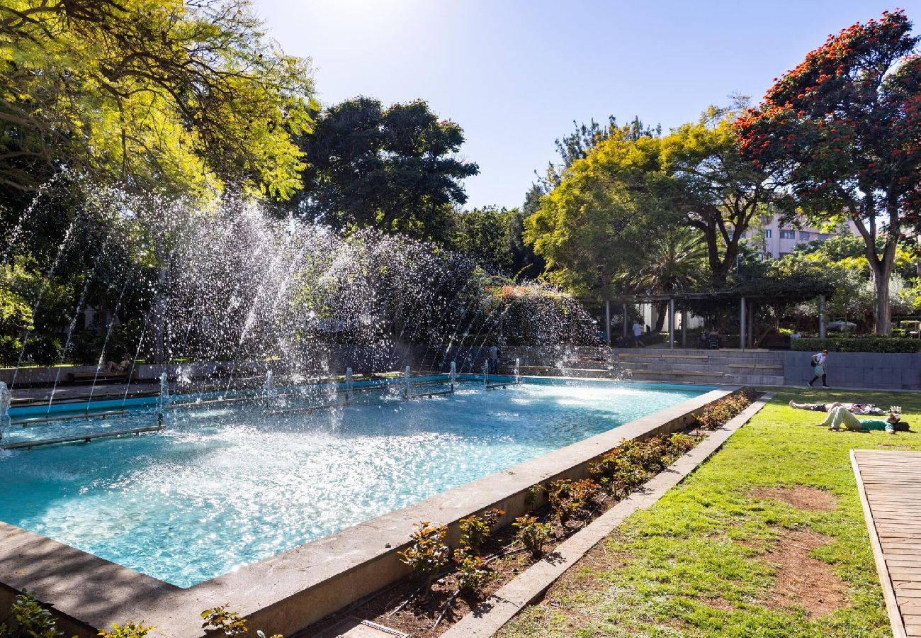 Apartamento en Santa Cruz de Tenerife - Live Santa Cruz Guigou