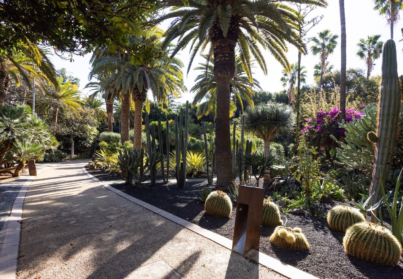 Apartamento en Santa Cruz de Tenerife - Live Santa Cruz Guigou