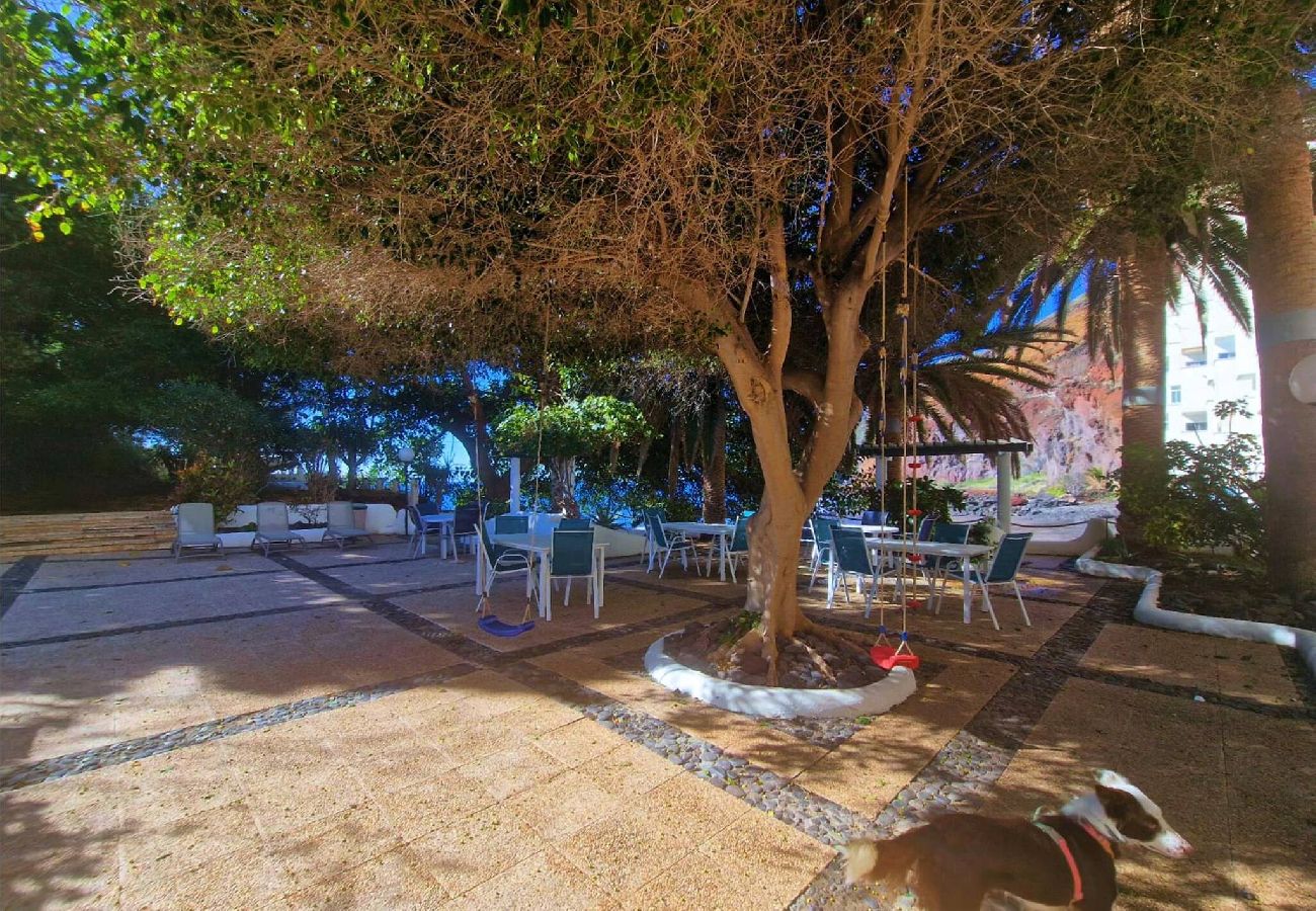 Apartamento en San Andres - -