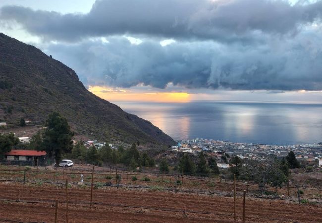 Apartamento en Candelaria - Live Araya Finca Mi Bodega Estudio