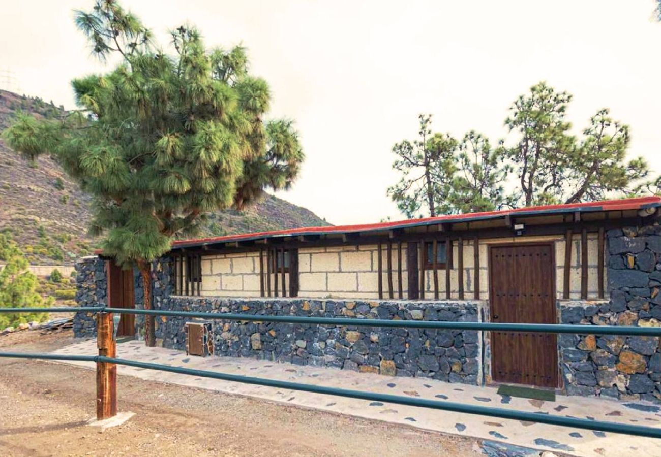 Apartamento en Candelaria - Live Estudio mi bodega 