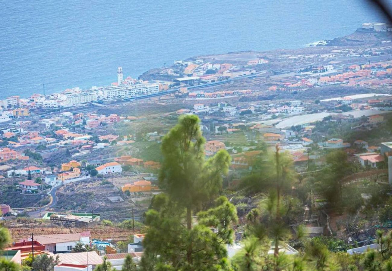 Apartamento en Candelaria - Live Estudio mi bodega 