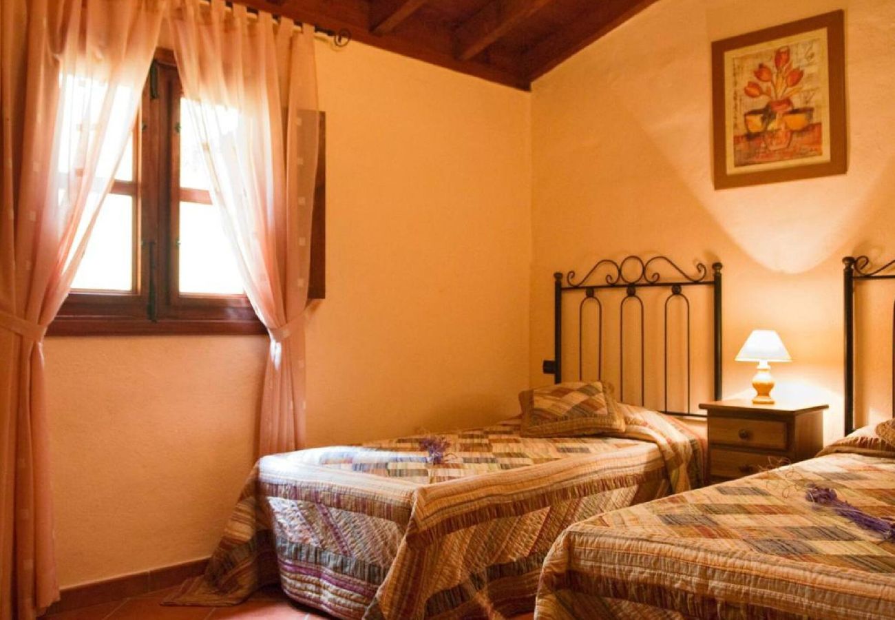 Casa rural en Icod de los Vinos - Live Icod la furnia 2 