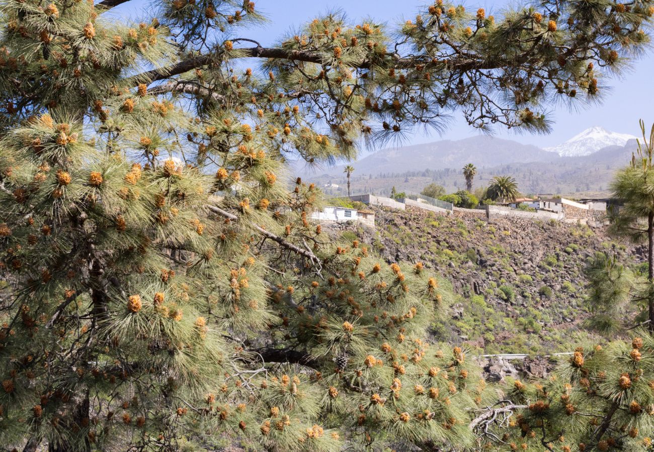 Villa en Adeje - Live Adeje Ifonche Relax Place with Terrace 