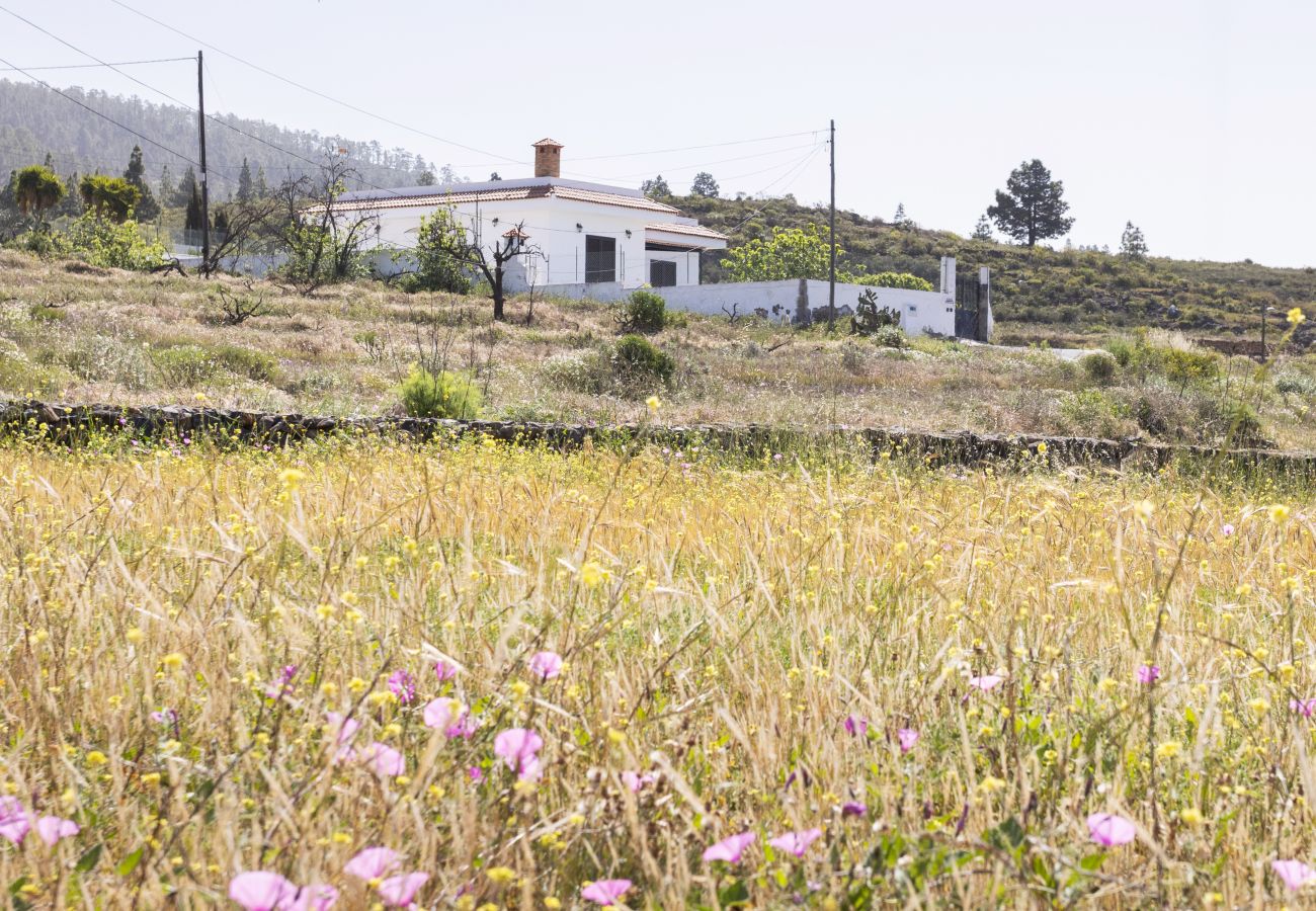 Villa en Adeje - Live Adeje Ifonche Relax Place with Terrace 