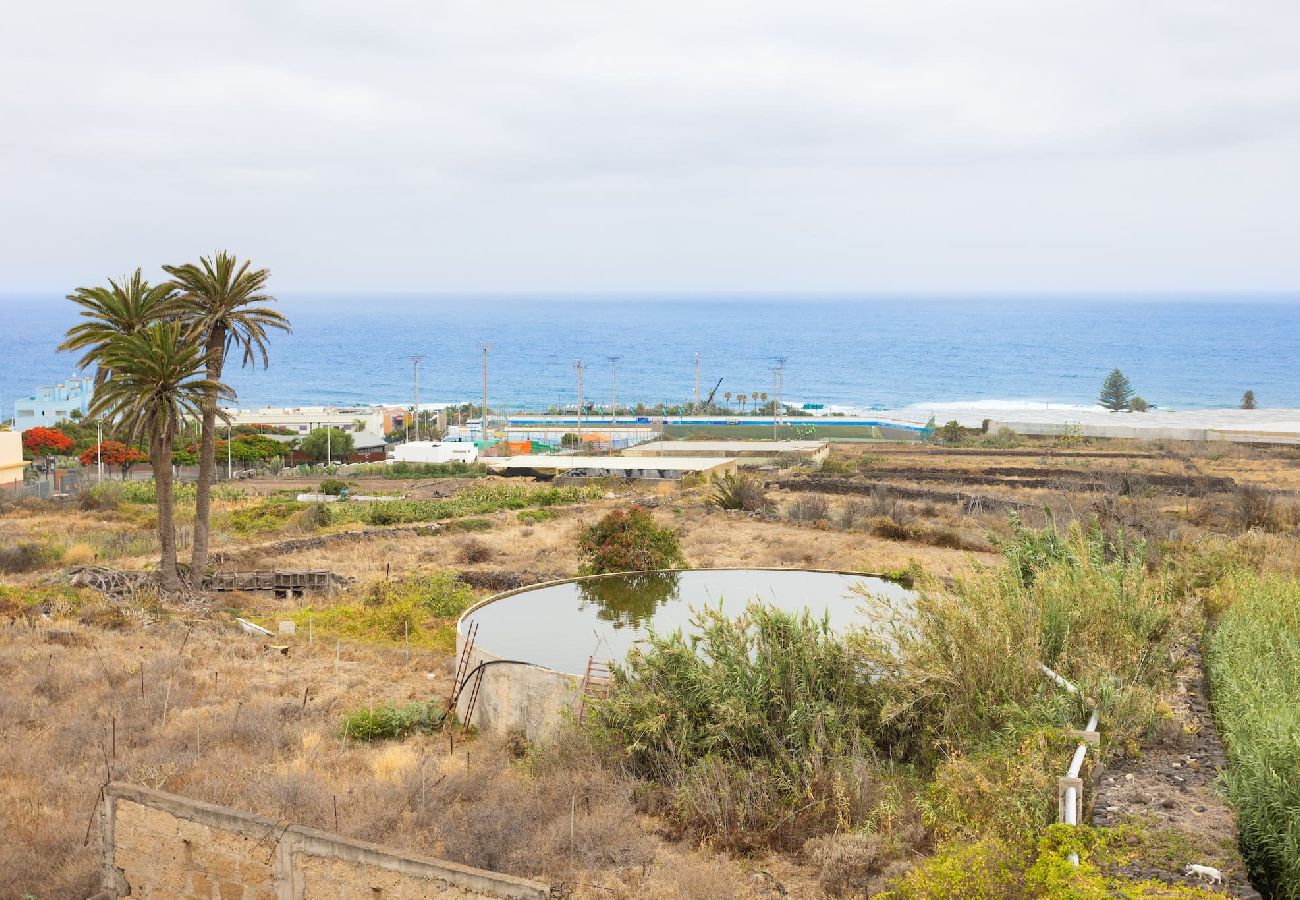 Apartamento en Punta del Hidalgo - Live la punta Center 