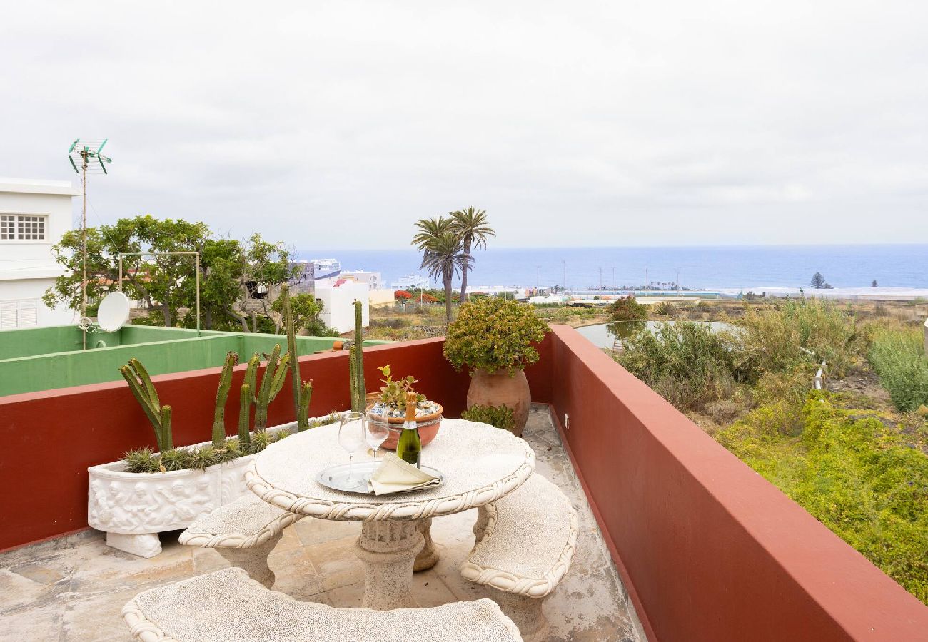 Apartamento en Punta del Hidalgo - Live la punta Center 