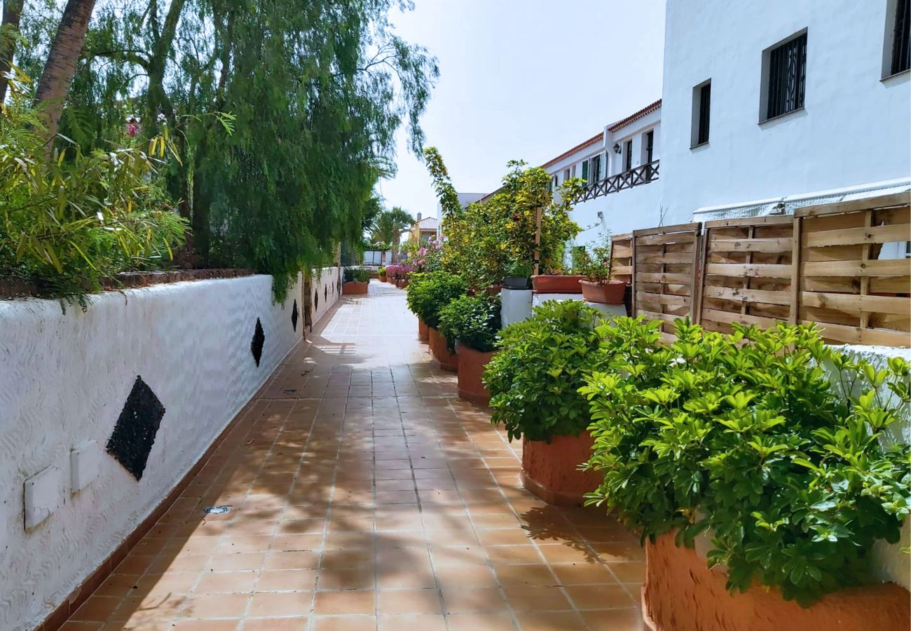 Apartamento en Arona - Live Don Jose 205