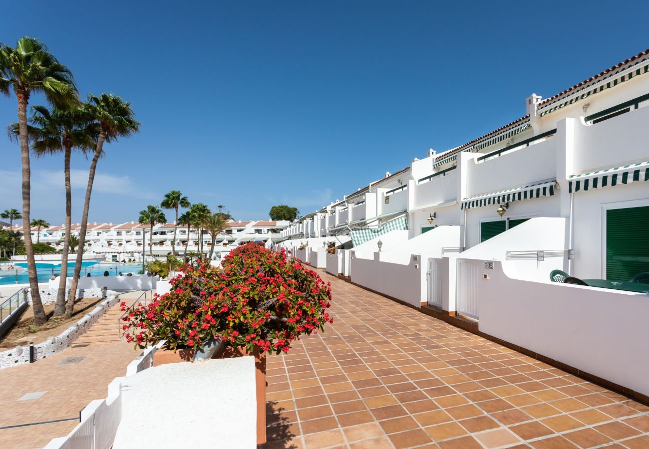 Apartamento en Arona - Live Don Jose 205