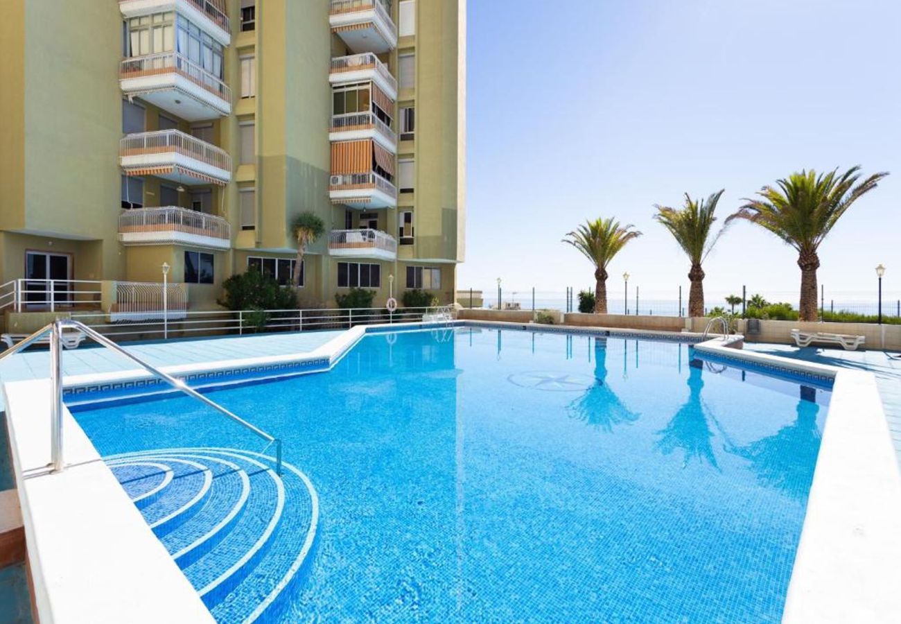 Apartamento en Santa Cruz -  Live Tabaiba Decre 2