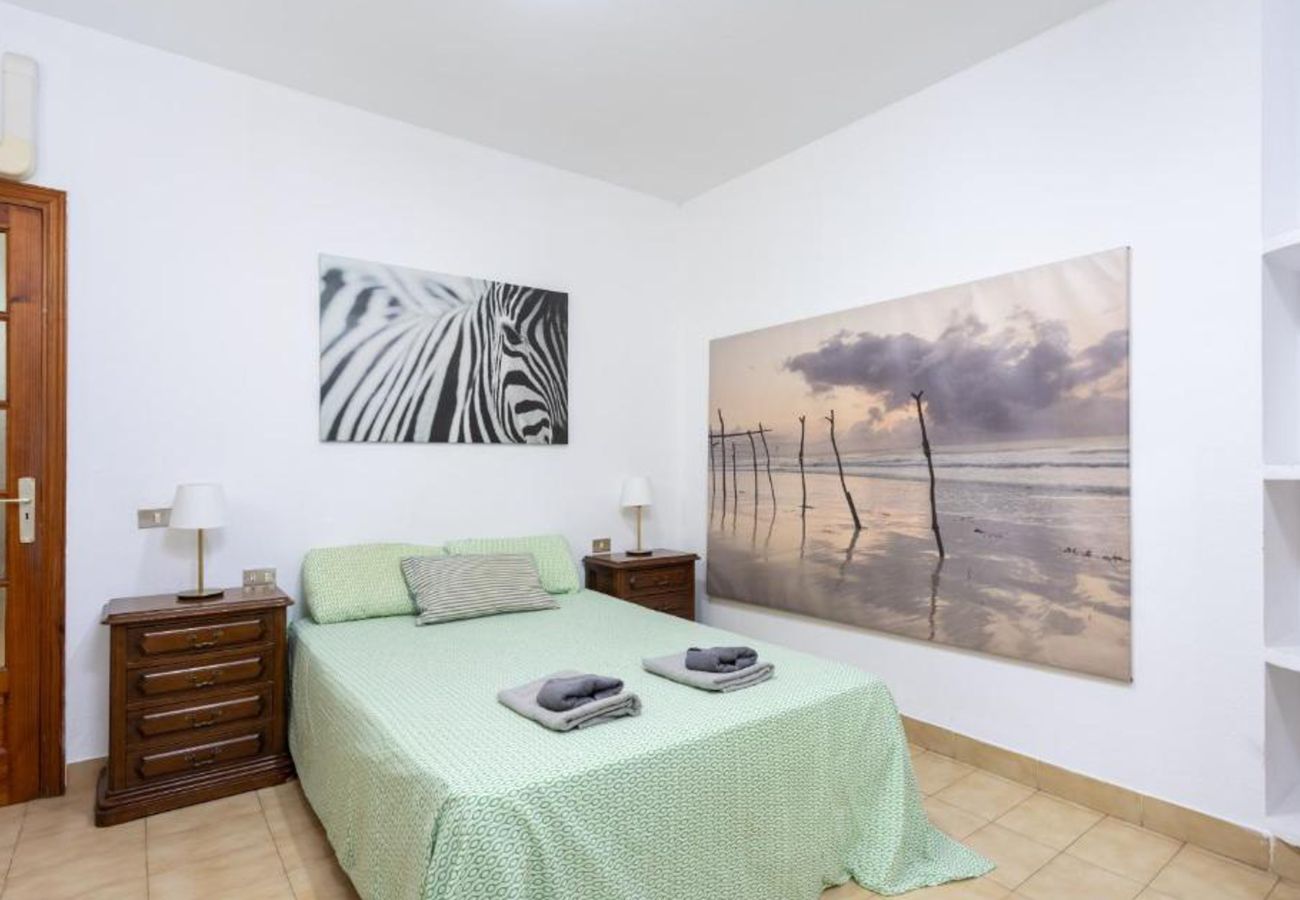 Apartamento en Santa Cruz -  Live Tabaiba Decre 2