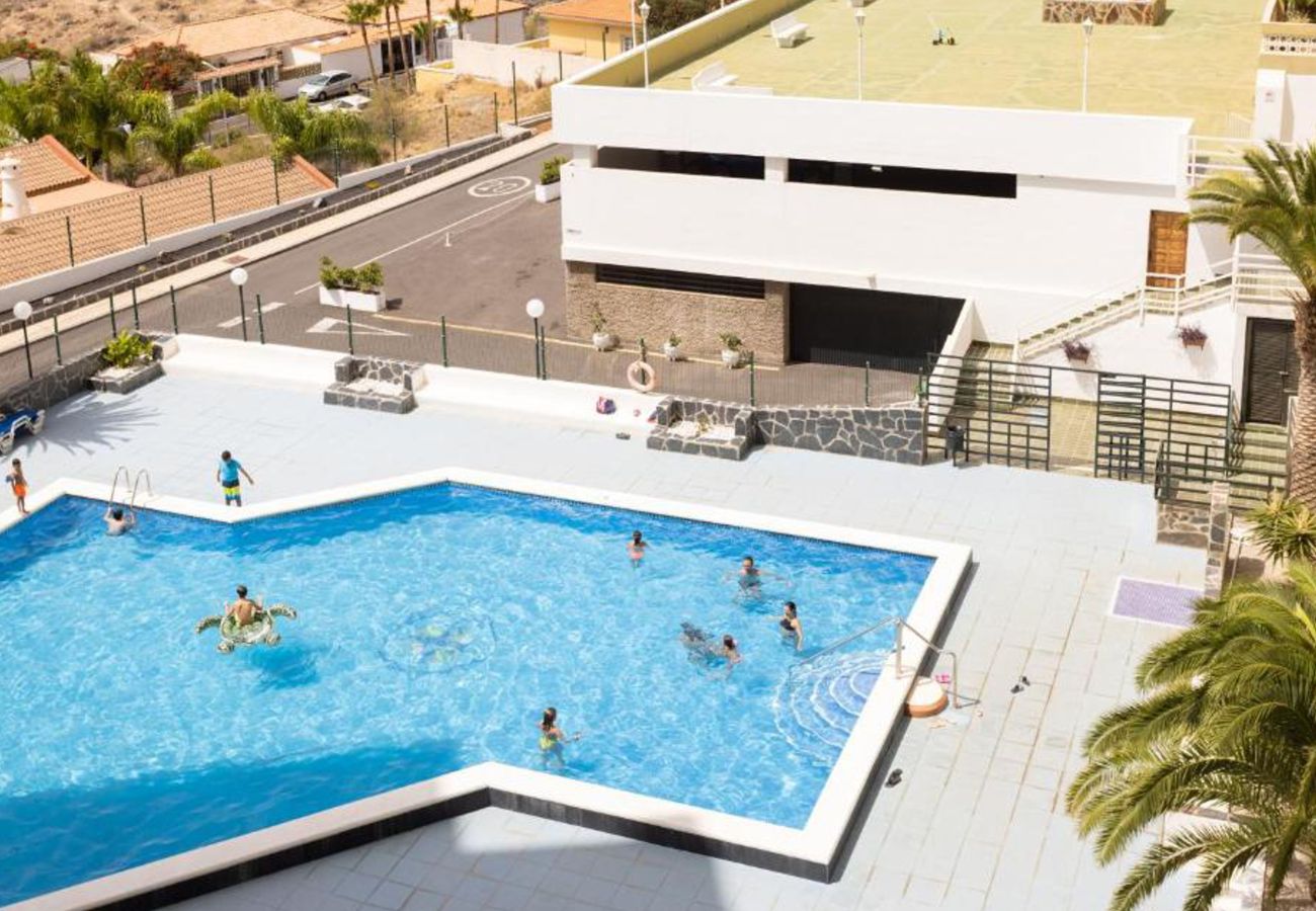 Apartamento en Santa Cruz -  Live Tabaiba Decre 2
