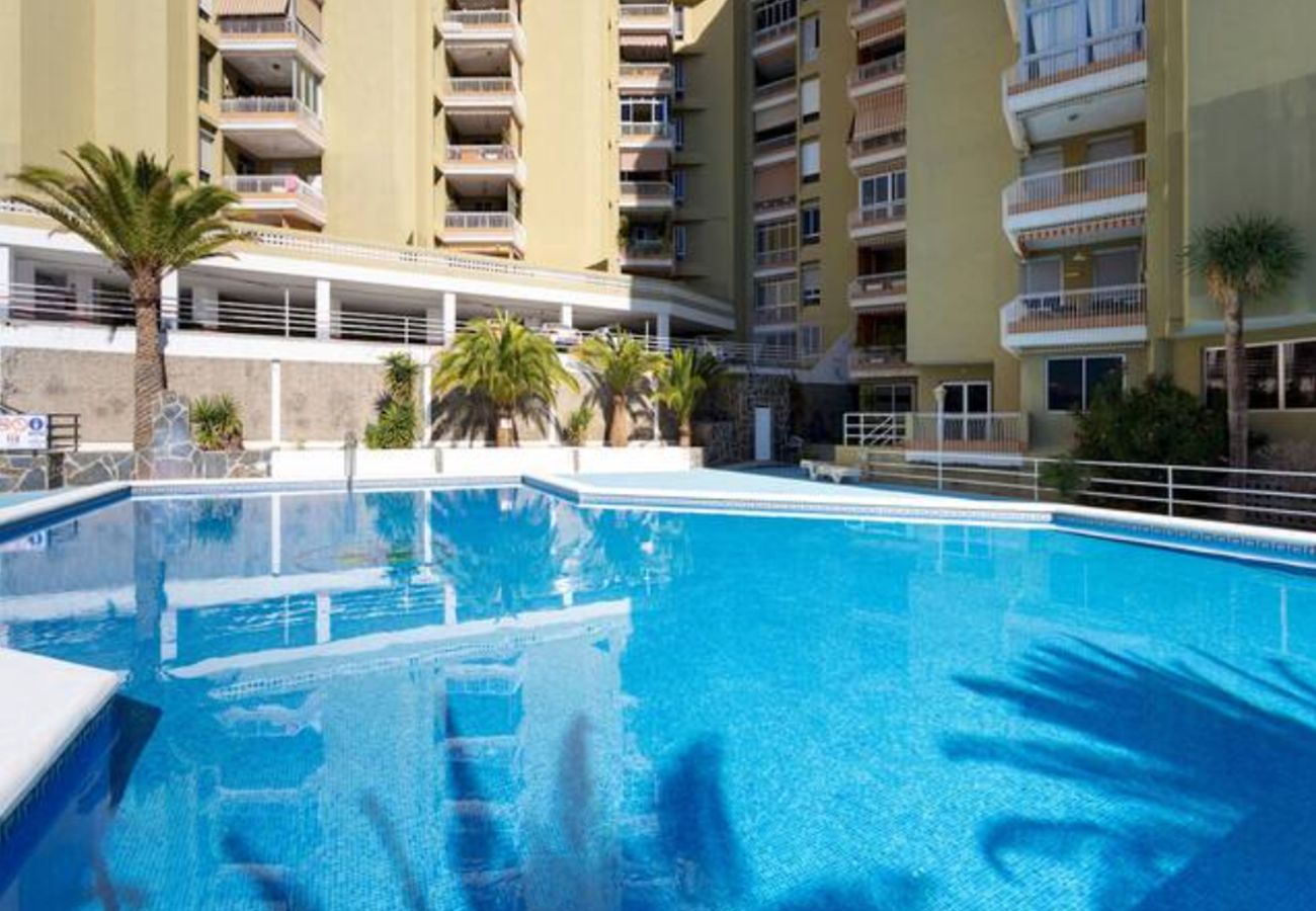 Apartamento en Santa Cruz -  Live Tabaiba Decre 2